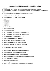 2023-2024学年河南省物理九年级第一学期期末综合测试试题