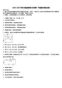 2023-2024学年河南省物理九年级第一学期期末模拟试题