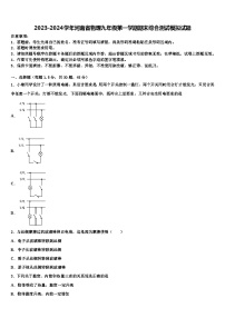 2023-2024学年河南省物理九年级第一学期期末综合测试模拟试题