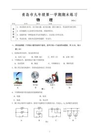 山东省青岛市2023-2024学年九年级上学期期末物理测试