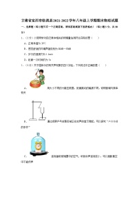 甘肃省定西市临洮县2021-2022学年八年级上学期期末物理试题+