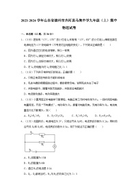 山东省德州市齐河县马集中学2023-2024学年九年级上学期期中物理试卷