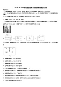 2023-2024学年河南省物理九上期末检测模拟试题