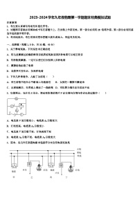 2023-2024学年九年级物理第一学期期末经典模拟试题