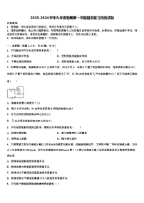 2023-2024学年九年级物理第一学期期末复习检测试题