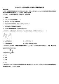 2024年九年级物理第一学期期末联考模拟试题