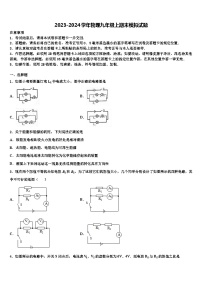 2023-2024学年物理九年级上期末模拟试题