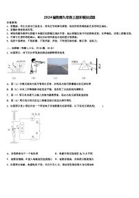 2024届物理九年级上期末模拟试题