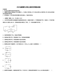 2024届物理九年级上期末统考模拟试题