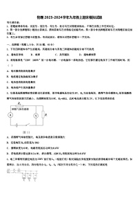 物理2023-2024学年九年级上期末模拟试题