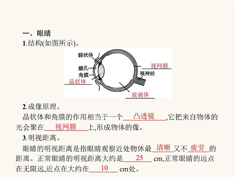 人教版八年级物理上册第5章透镜及其应用第4节眼睛和眼镜课件第2页