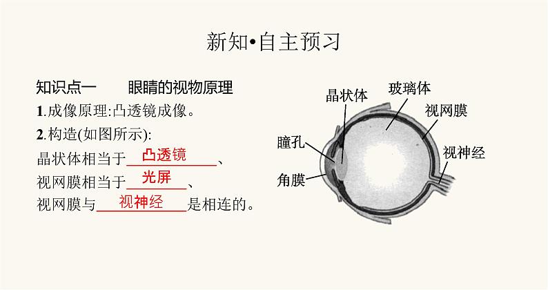 沪科版八年级物理第四章多彩的光第六节神奇的眼睛课件02