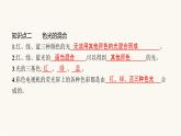 沪科版八年级物理第四章多彩的光第四节光的色散课件
