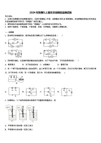 2024年物理九上期末质量跟踪监视试题