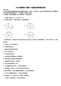 2024届物理九年级第一学期期末调研模拟试题