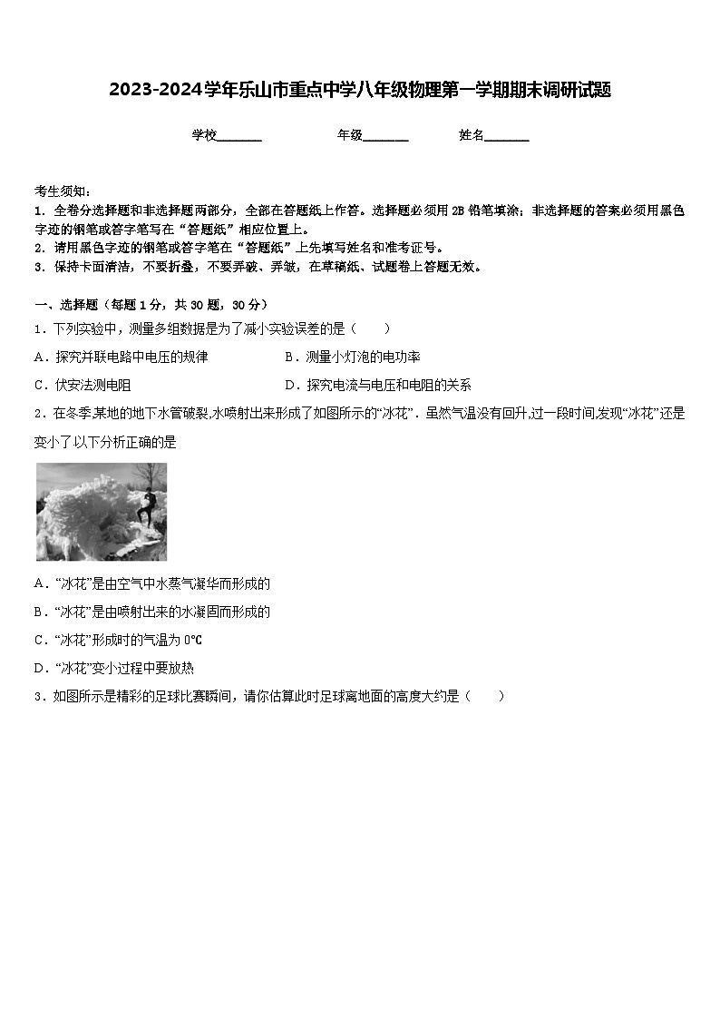 2023-2024学年乐山市重点中学八年级物理第一学期期末调研试题含答案第1页