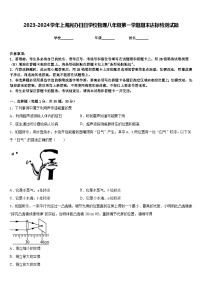 2023-2024学年上海民办日日学校物理八年级第一学期期末达标检测试题含答案