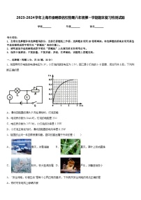 2023-2024学年上海市崇明县名校物理八年级第一学期期末复习检测试题含答案