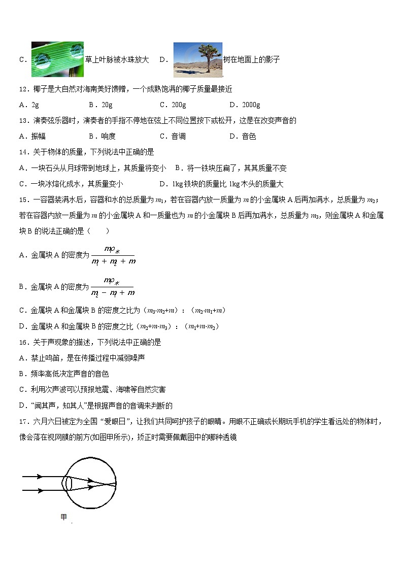 2023-2024学年上海市嘉定区八年级物理第一学期期末教学质量检测试题含答案03