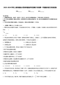 2023-2024学年上海外国语大秀洲外国语学校物理八年级第一学期期末复习检测试题含答案