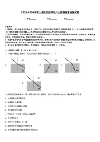 2023-2024学年上海市实验学校八上物理期末监测试题含答案