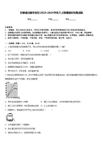 甘肃省白银市名校2023-2024学年八上物理期末经典试题含答案