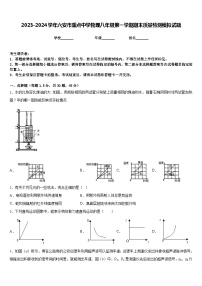 2023-2024学年六安市重点中学物理八年级第一学期期末质量检测模拟试题含答案