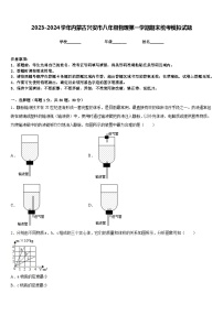 2023-2024学年内蒙古兴安市八年级物理第一学期期末统考模拟试题含答案