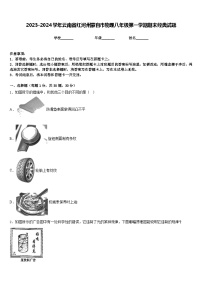 2023-2024学年云南省红河州蒙自市物理八年级第一学期期末经典试题含答案