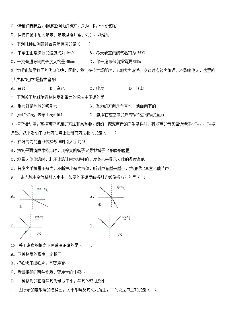 2023-2024学年云南省昆明市五华区云南师范大附属中学八上物理期末联考模拟试题含答案第2页
