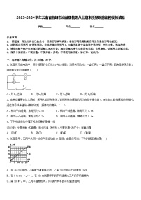 2023-2024学年云南省曲靖市沾益县物理八上期末质量跟踪监视模拟试题含答案