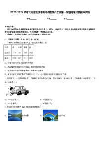 2023-2024学年云南省玉溪市新平县物理八年级第一学期期末经典模拟试题含答案