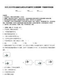 2023-2024学年云南省文山州文山市马塘中学八年级物理第一学期期末检测试题含答案