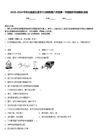 2023-2024学年云南省玉溪市江川县物理八年级第一学期期末检测模拟试题含答案