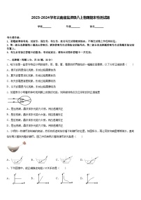 2023-2024学年云南省盐津县八上物理期末检测试题含答案