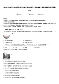 2023-2024学年云南省普洱市思茅区第四中学八年级物理第一学期期末综合测试模拟试题含答案