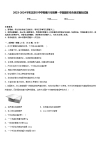 2023-2024学年北京八中学物理八年级第一学期期末综合测试模拟试题含答案