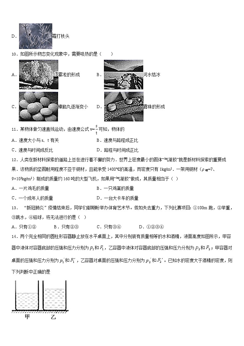 2023-2024学年北京八中学物理八年级第一学期期末综合测试模拟试题含答案第3页