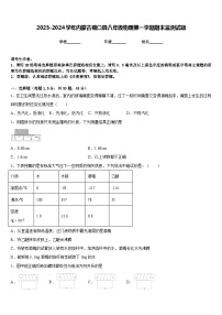 2023-2024学年内蒙古磴口县八年级物理第一学期期末监测试题含答案