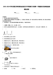 2023-2024学年内蒙古鄂伦春自治旗吉文中学物理八年级第一学期期末质量跟踪监视模拟试题含答案