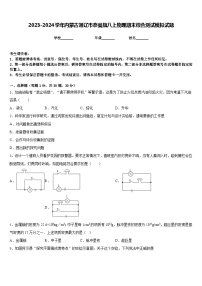 2023-2024学年内蒙古通辽市奈曼旗八上物理期末综合测试模拟试题含答案