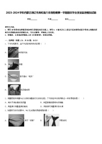 2023-2024学年内蒙古通辽市库伦旗八年级物理第一学期期末学业质量监测模拟试题含答案