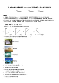 甘肃省白银市景泰四中学2023-2024学年物理八上期末复习检测试题含答案