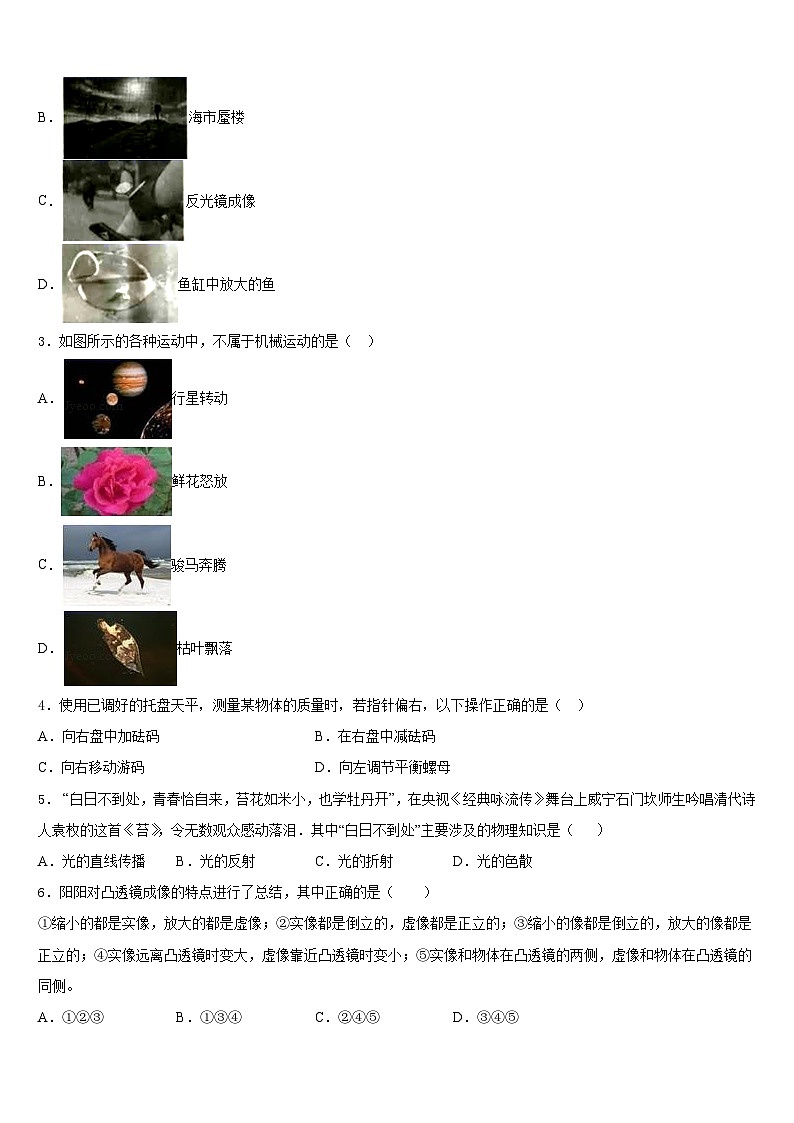 2023-2024学年南省郴州市物理八年级第一学期期末达标检测模拟试题含答案第2页