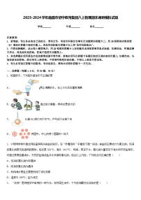 2023-2024学年南昌市初中教育集团八上物理期末调研模拟试题含答案