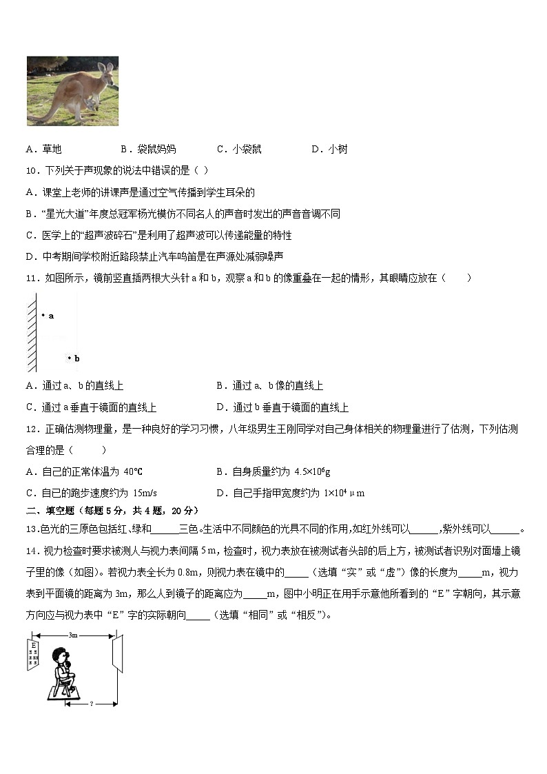 2023-2024学年吉林九台区加工河中学八上物理期末达标测试试题含答案第3页
