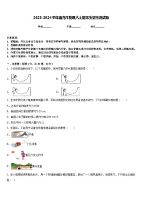 2023-2024学年南充市物理八上期末质量检测试题含答案