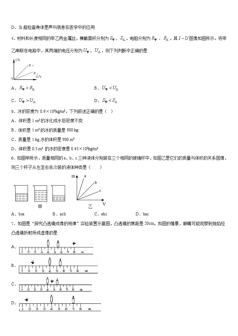 2023-2024学年吉林省白城地区大安县八上物理期末检测模拟试题含答案02