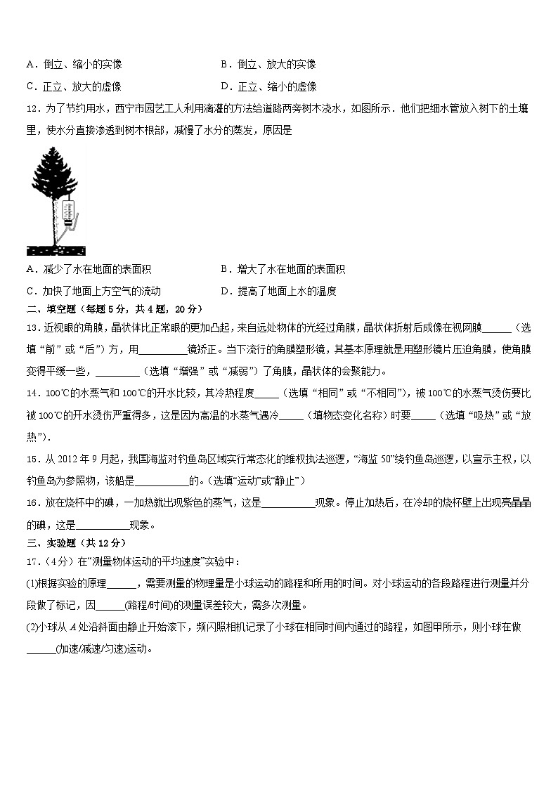 2023-2024学年吉林省白山长白县联考八上物理期末经典试题含答案第3页