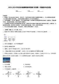 2023-2024学年吉林省前郭县联考物理八年级第一学期期末考试试题含答案